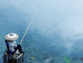 十月份釣什么魚？十月份釣魚技巧