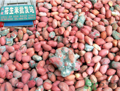 花生米發(fā)霉了還能吃嗎？花生米發(fā)霉了怎么辦？