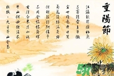 重陽節(jié)吃什么好？重陽節(jié)吃什么食物？