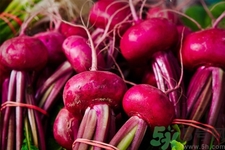 吃甜菜有什么好處？吃甜菜對身體好嗎？