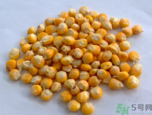 玉米用什么泡釣魚好？玉米怎么泡好釣魚？