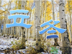立冬可以栽樹(shù)嗎？立冬栽樹(shù)樹(shù)會(huì)死嗎？