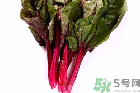 甜菜是甜的嗎？甜菜到底是不是甜的？