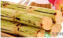 甘蔗過夜了能吃嗎？隔夜的甘蔗可以吃嗎？