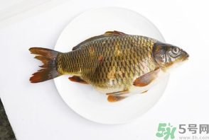 鯉魚死了還能吃嗎？鯉魚死了多久不能吃？