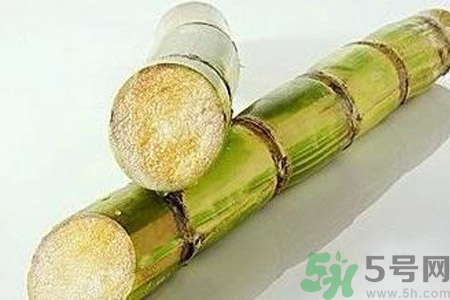 血糖高的人能吃甘蔗嗎？血糖偏高可以吃甘蔗嗎？