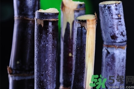 甘蔗一天吃多少最好？甘蔗能每天都吃嗎？