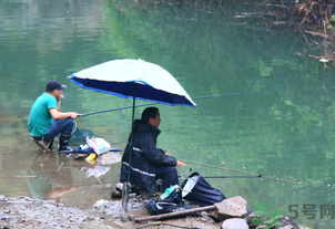 釣的魚怎么保存？釣的魚吃不完怎么保存？