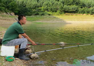 釣的魚怎么保存？釣的魚吃不完怎么保存？