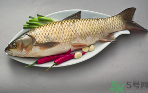 秋天怎么釣草魚？秋天草魚好釣嗎？