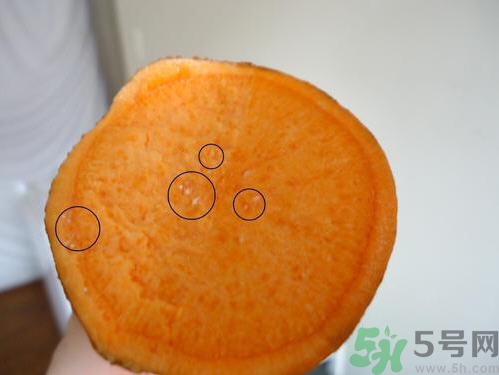番薯發(fā)芽還能吃嗎？山芋發(fā)芽還能吃嗎？