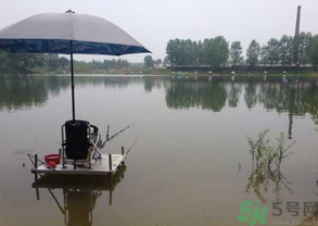 水庫釣魚用什么餌料？水庫釣魚用什么商品餌？