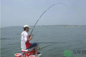 陰天好釣魚嗎？陰天釣魚好釣嗎？