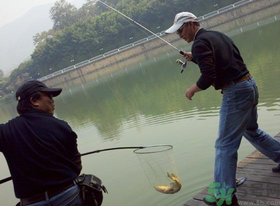 秋季釣黑魚用什么魚餌？秋天釣黑魚用什么餌？