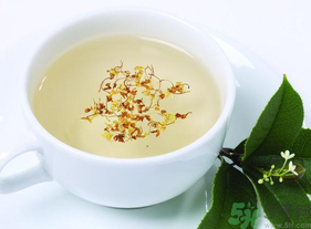 新鮮桂花能泡茶嗎？新鮮桂花怎么處理泡茶？