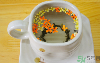剛摘的桂花可以泡茶嗎？剛摘的桂花能泡茶嗎？