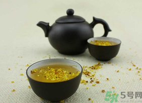 新鮮桂花可以泡水喝嗎？新鮮桂花泡水喝有什么好處？