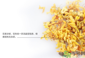 新鮮桂花可以泡水喝嗎？新鮮桂花泡水喝有什么好處？