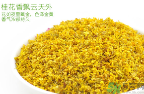 剛摘的桂花有蟲怎么辦？干桂花長蟲怎么辦？