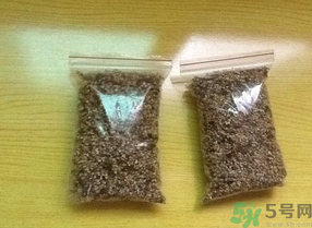 桂花怎么曬干？桂花曬好后可以做什么？