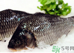 鯽魚死了一夜能吃嗎？鯽魚死了一天能吃嗎？