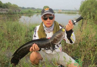路亞釣黑魚用什么假餌？路亞釣黑魚用什么餌？