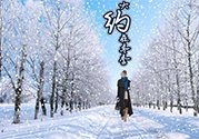 冬天做什么運動能減肥？冬天做什么運動好？