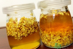 干桂花可以做桂花蜜嗎？干桂花怎么做桂花蜜？