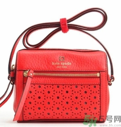 kate spade和coach哪個好？凱特絲蓓好還是蔻馳好？