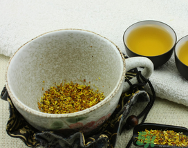 桂花茶怎么搭配效果好？桂花茶搭配什么好？