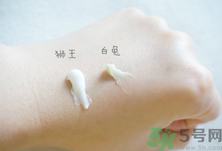 白兔祛痘膏和獅王哪個(gè)好？白兔牌暗瘡膏哪款好？