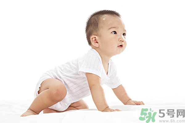 吃南瓜子可以打蟲嗎,南瓜子能打蛔蟲嗎？