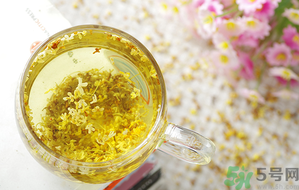 月經(jīng)期能喝桂花茶嗎？經(jīng)期能喝桂花茶嗎？