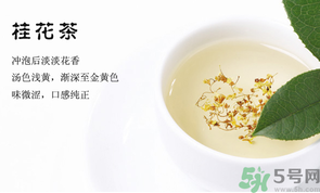 月經(jīng)期能喝桂花茶嗎？經(jīng)期能喝桂花茶嗎？