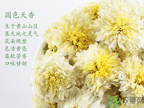 菊花茶可以放冰箱嗎？菊花茶能放冰箱冷凍嗎？