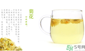 菊花茶可以放冰箱嗎？菊花茶能放冰箱冷凍嗎？