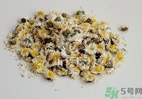 干菊花長蟲怎么辦？干菊花長蟲還能喝嗎？