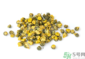 干菊花長蟲怎么辦？干菊花長蟲還能喝嗎？