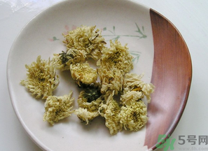 干菊花長蟲怎么辦？干菊花長蟲還能喝嗎？