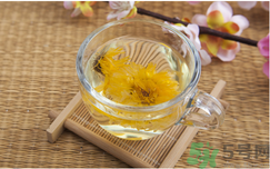 菊花茶可以天天喝嗎？菊花茶喝多了會(huì)怎么樣？