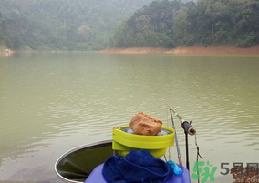 秋天釣魚(yú)用什么打窩?秋天釣鯉魚(yú)用什么打窩? 秋天釣魚(yú)用什么打窩?秋天釣鯉魚(yú)用什么打窩?