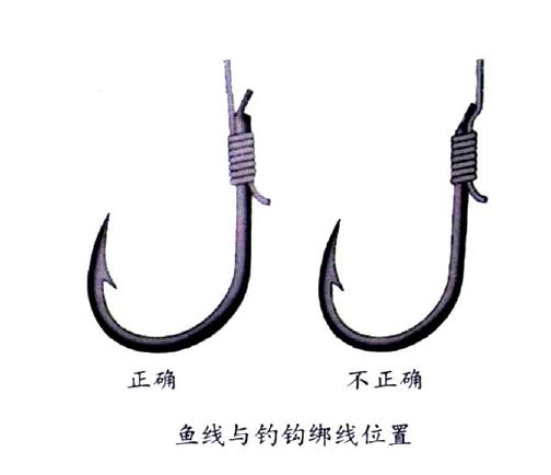 釣鯉魚用幾號(hào)鉤？釣鯉魚用什么鉤？