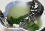 孕婦吃黑魚好嗎？孕婦吃黑魚會(huì)流產(chǎn)嗎？