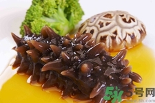 吃海參會上火嗎？經(jīng)常吃海參會上火嗎？