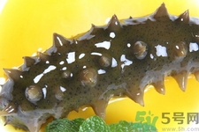 新鮮海參怎么吃最有營(yíng)養(yǎng)？新鮮海參生吃最有營(yíng)養(yǎng)嗎？