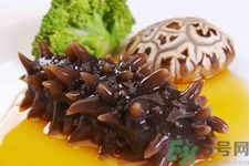 新鮮海參怎么吃最好？新鮮海參生吃最好嗎？