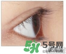圣雪蘭睫毛增長(zhǎng)液多少錢(qián)?圣雪蘭睫毛增長(zhǎng)液專柜價(jià)格