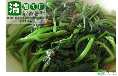 紅薯葉哺乳期可以吃嗎？紅薯葉產(chǎn)婦可以吃嗎？