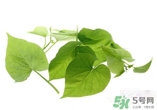 紅薯葉吃多了好嗎？紅薯葉吃多了會怎樣？