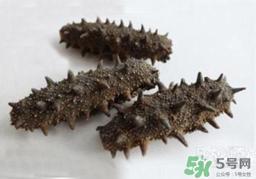 海參肚子里的筋能吃嗎？海參肚子里的筋吃了有什么作用？